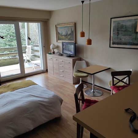 Residence Le Faucon - Col Du Donon Grandfontaine (Bas-Rhin) Exterior foto